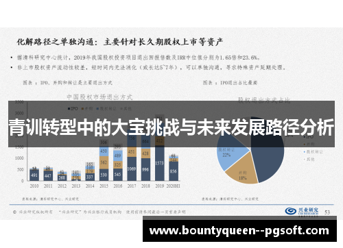 青训转型中的大宝挑战与未来发展路径分析 青训转型中的大宝挑战与未来发展路径分析